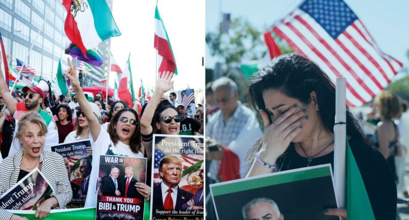 Los Angeles Iranian-American Community Reacts to U.S.âIsrael Airstrikes on Iran